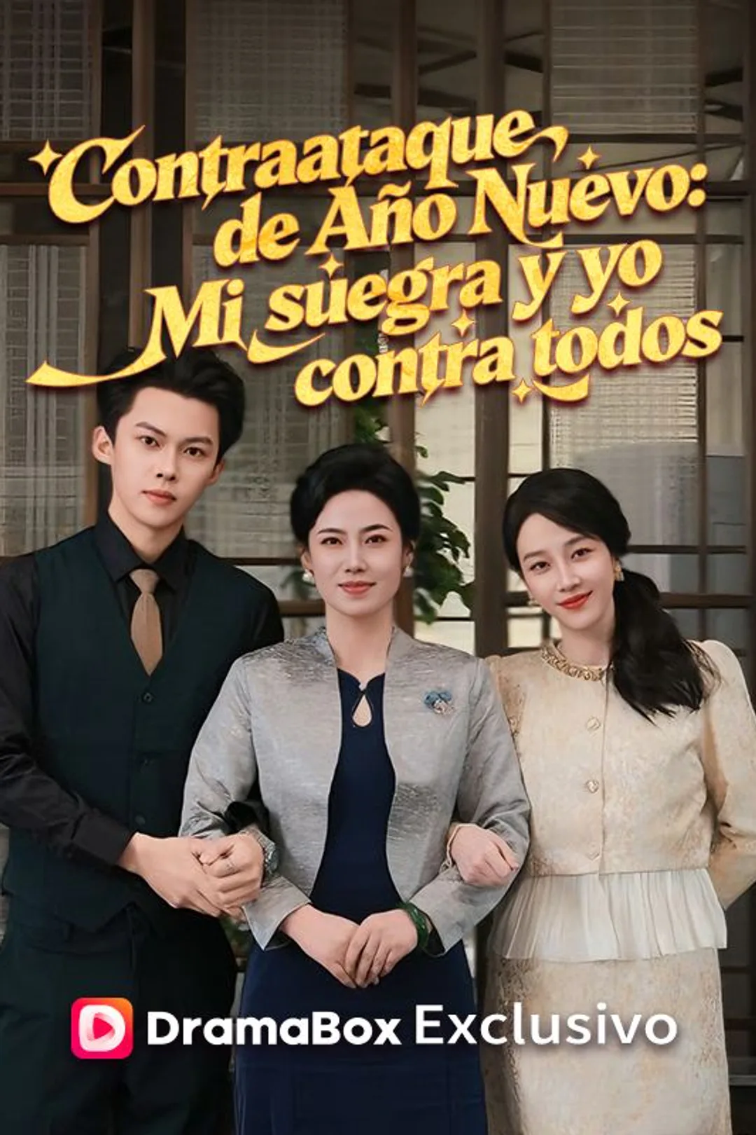 Póster de Contraataque de Año Nuevo: Mi suegra y yo contra todos