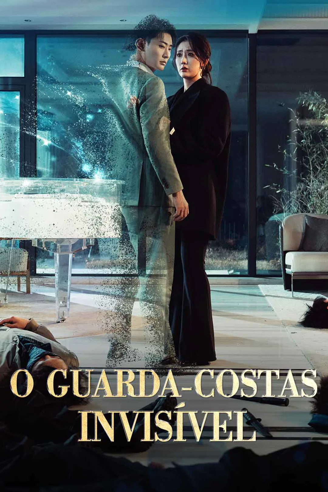 Pôster de O Guarda-Costas Invisível