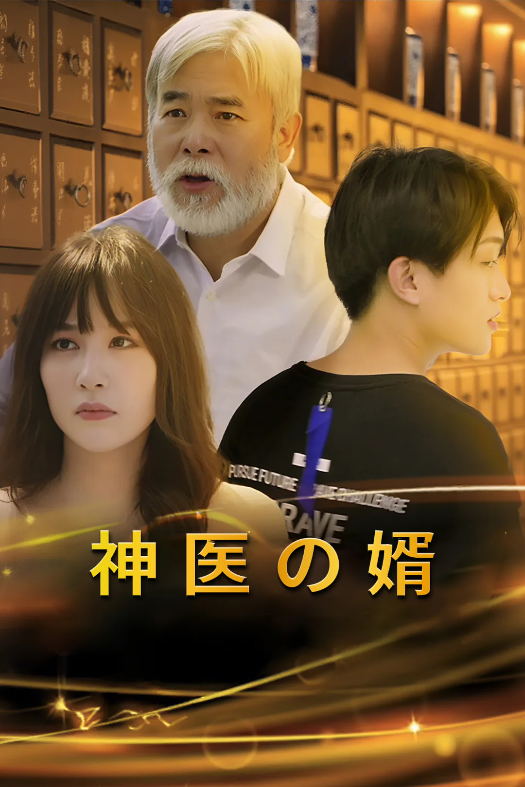 神医の婿のポスター