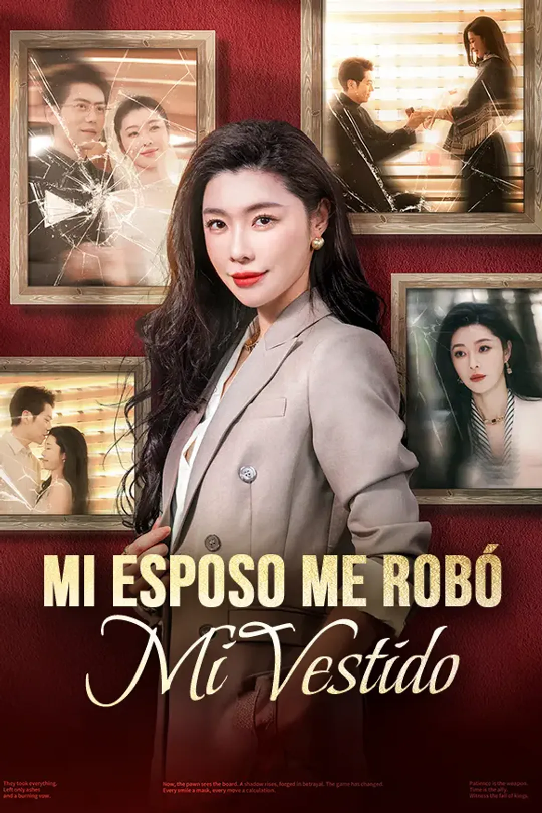 Póster de Mi Esposo Me Robó Mi Vestido