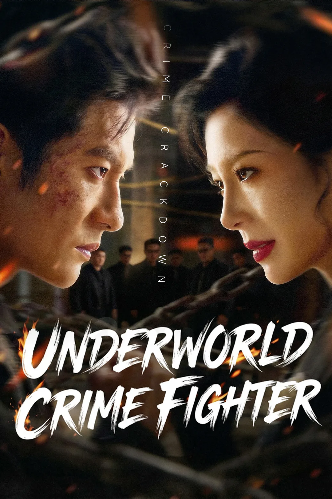 Underworld Crime Fighter poster