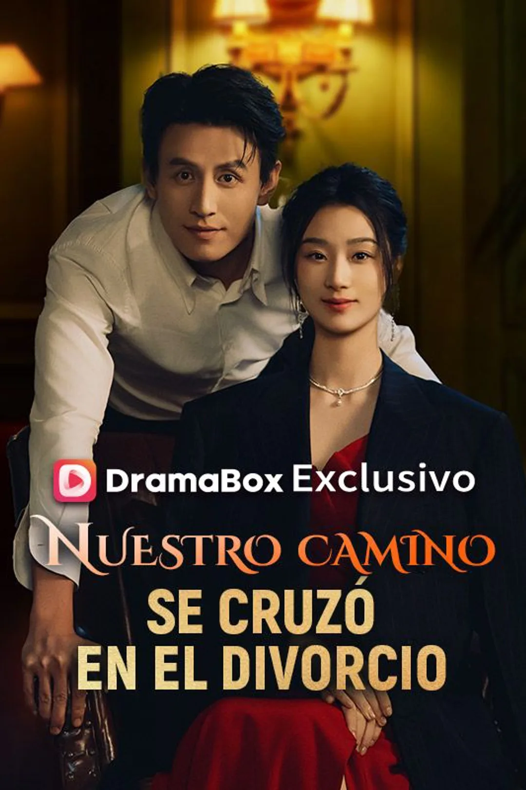 Póster de Nuestro camino se cruzó en el divorcio