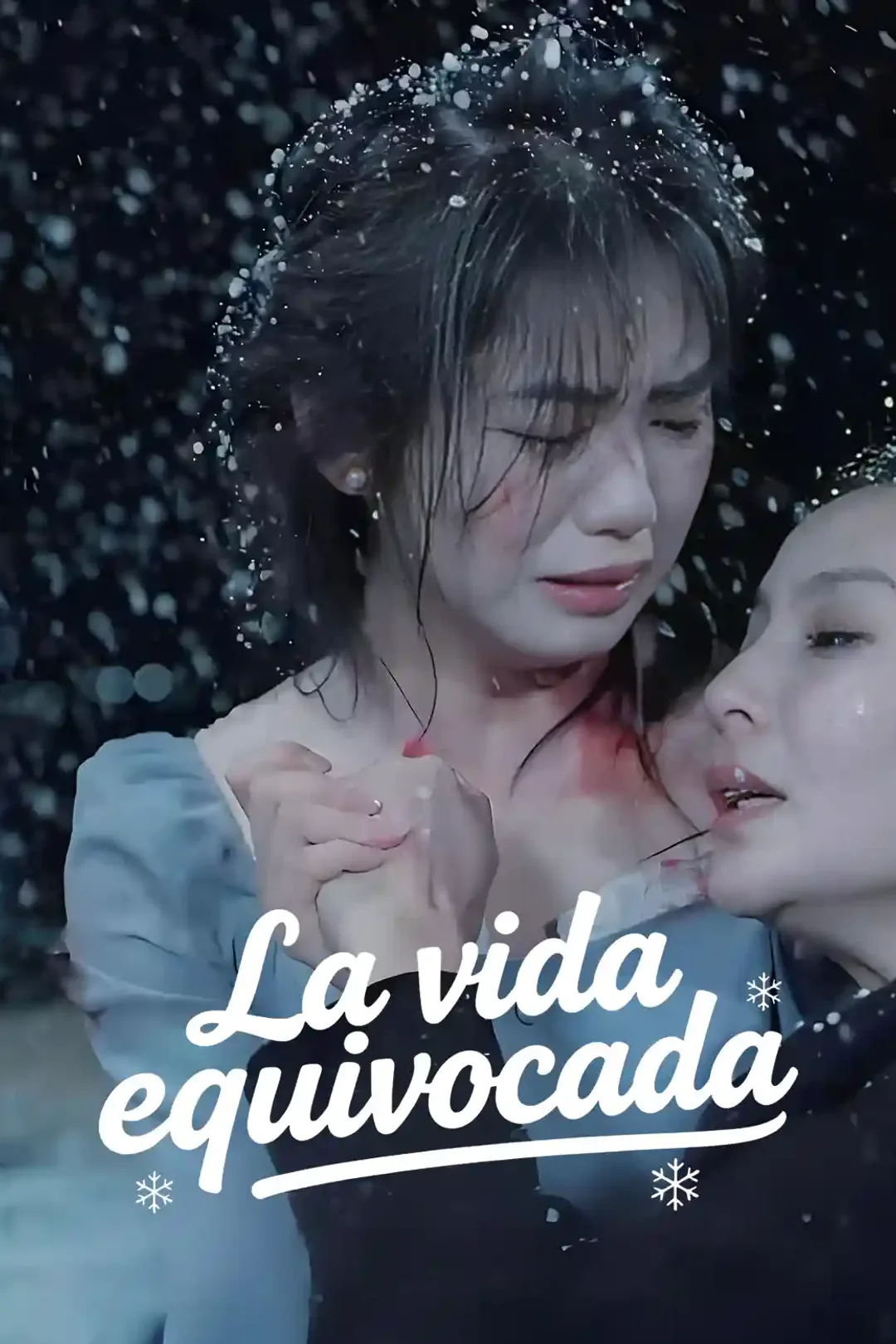 Póster de La vida equivocada