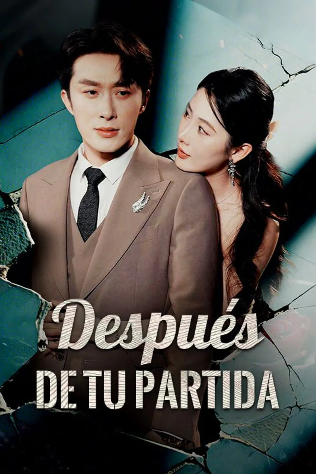 Póster de Después de tu partida
