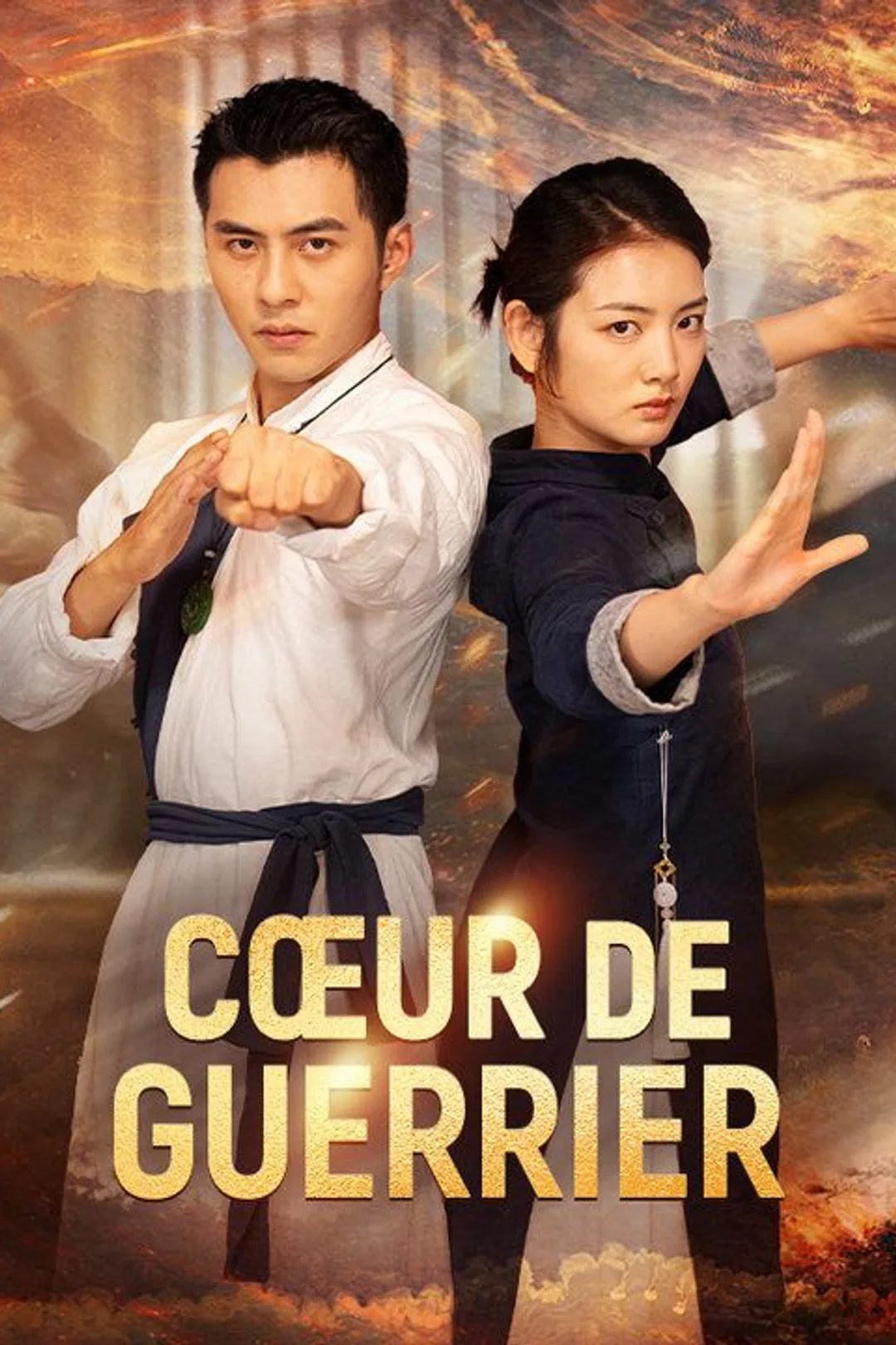 Affiche de Cœur de Guerrier