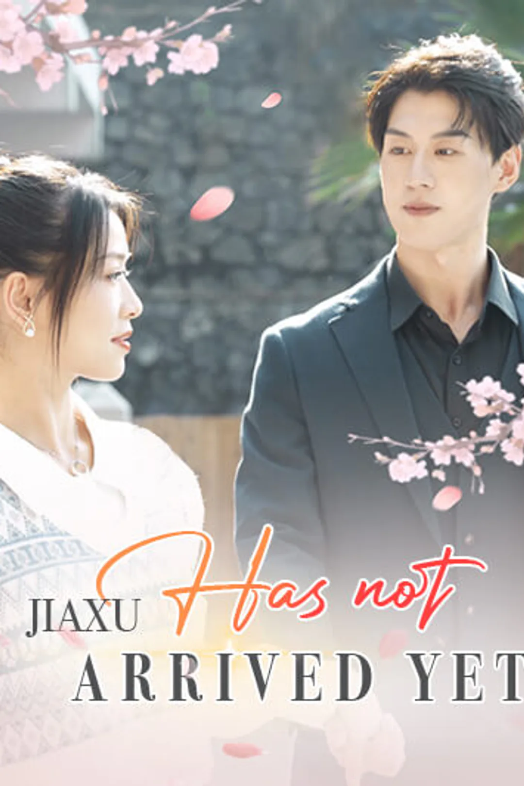 โปสเตอร์ เจียซวี่ยังมาไม่ถึง