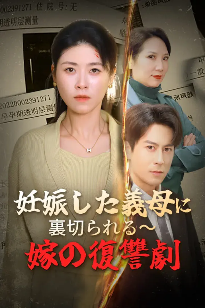 妊娠した義母に裏切られる～嫁の復讐劇のポスター