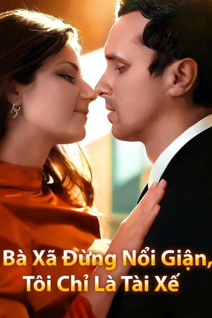 Poster phim Bà Xã Đừng Nổi Giận, Tôi Chỉ Là Tài Xế
