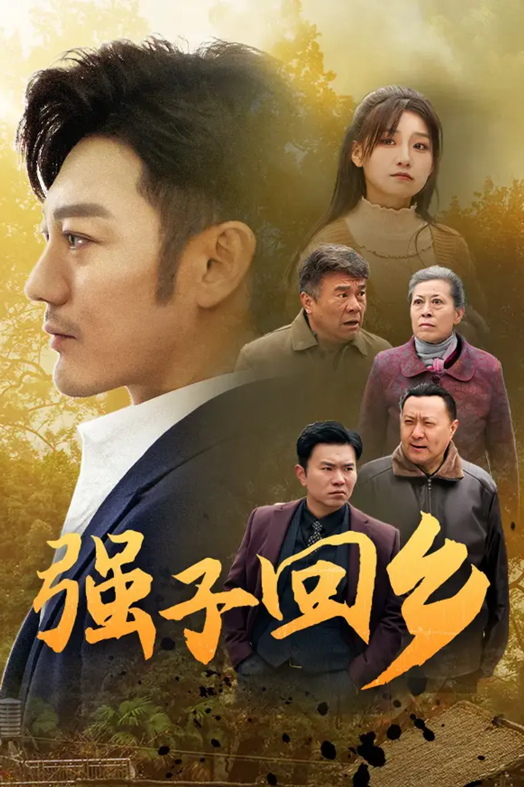 《强子回乡》海报