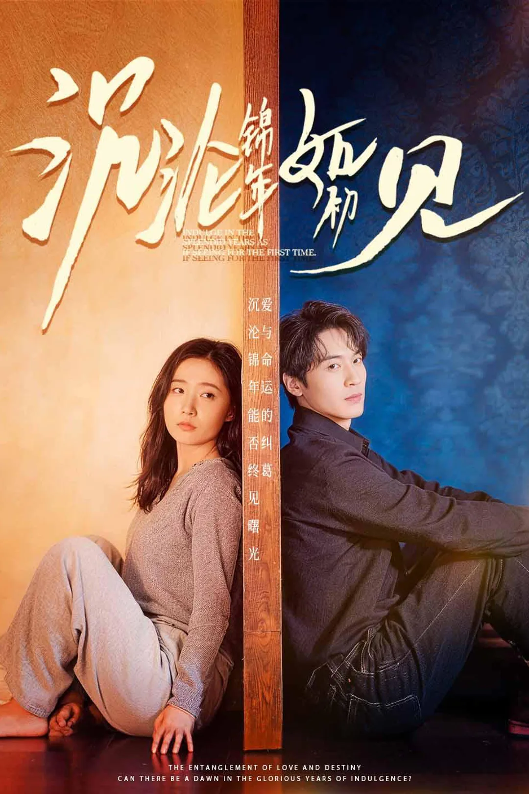 《沉沦锦年如初见》海报