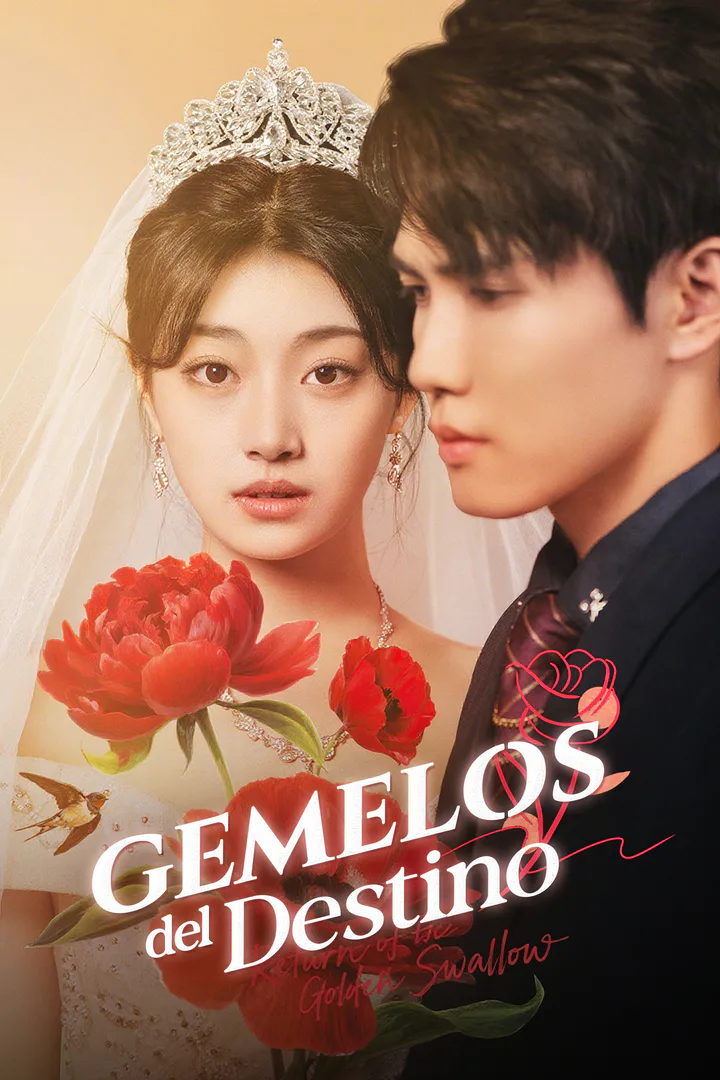 Pôster de Gemelos del destino