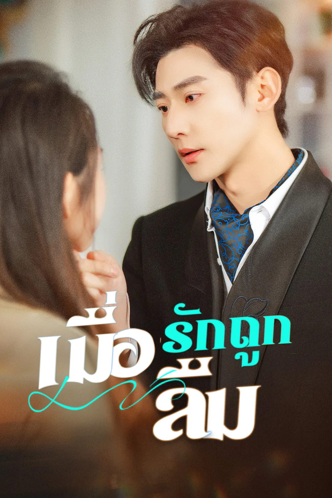 โปสเตอร์ เมื่อรักถูกลืม