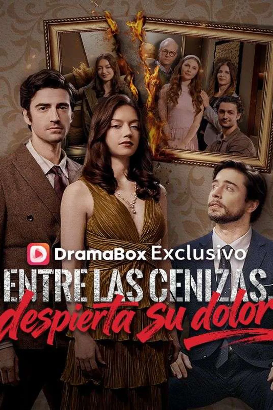 Póster de Entre las cenizas, despierta su dolor