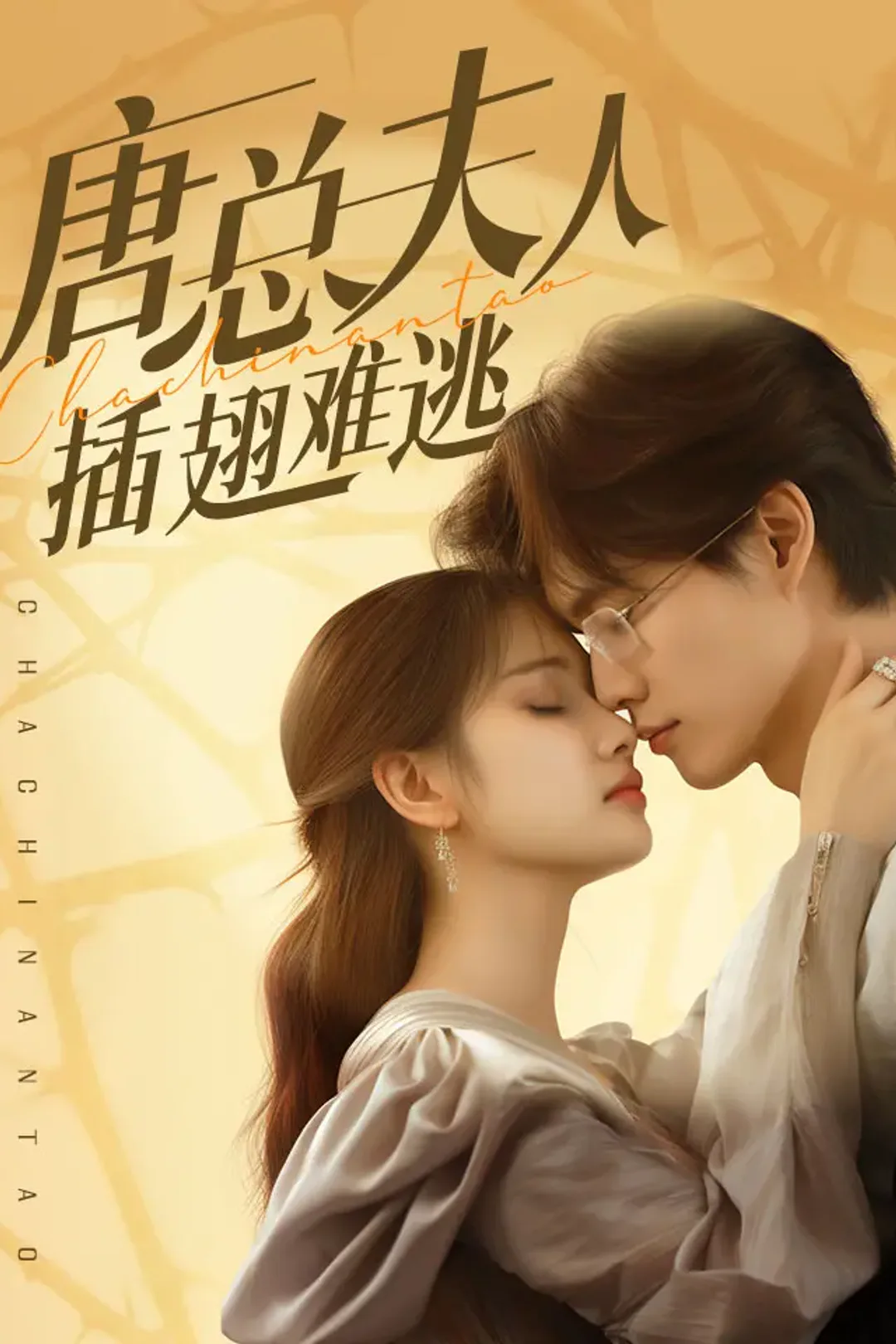 《唐总夫人插翅难逃》海报