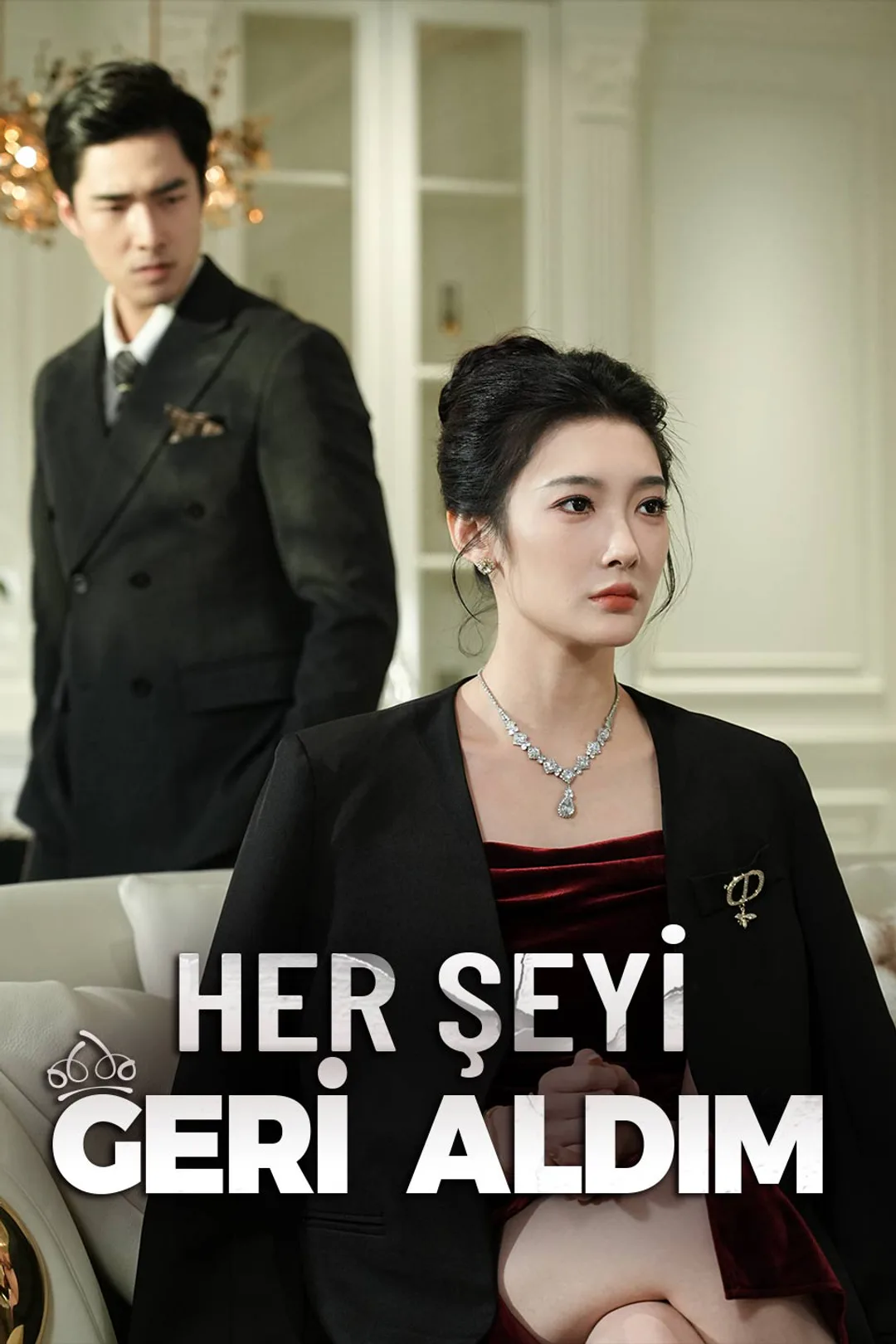 Her Şeyi Geri Aldım afişi