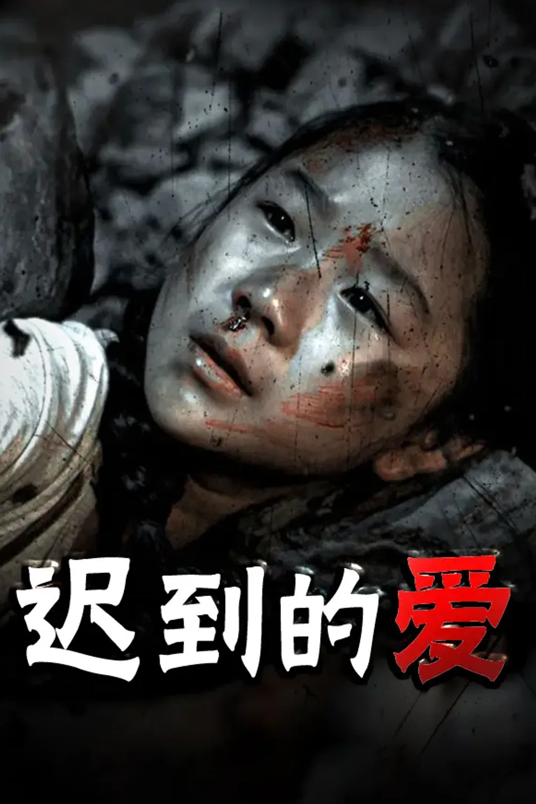 《迟到的爱》海报