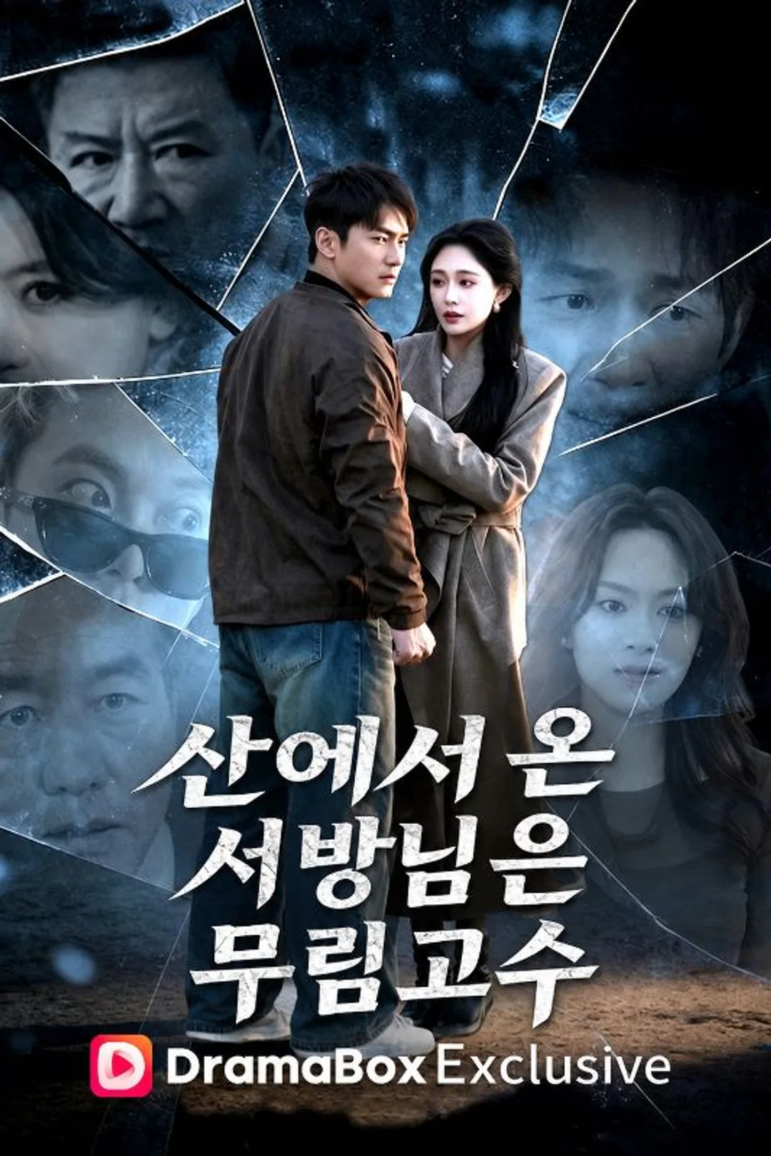 산에서 온 서방님은 무림고수 포스터