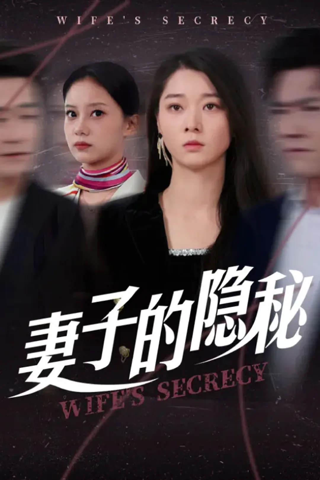 《妻子的隐秘》海报
