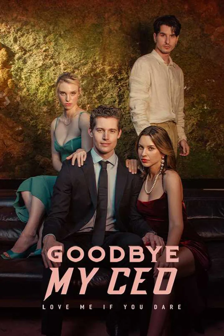 Goodbye, My CEO poster