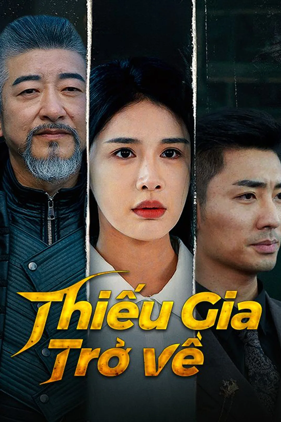 Poster phim Thiếu Gia Trở Về