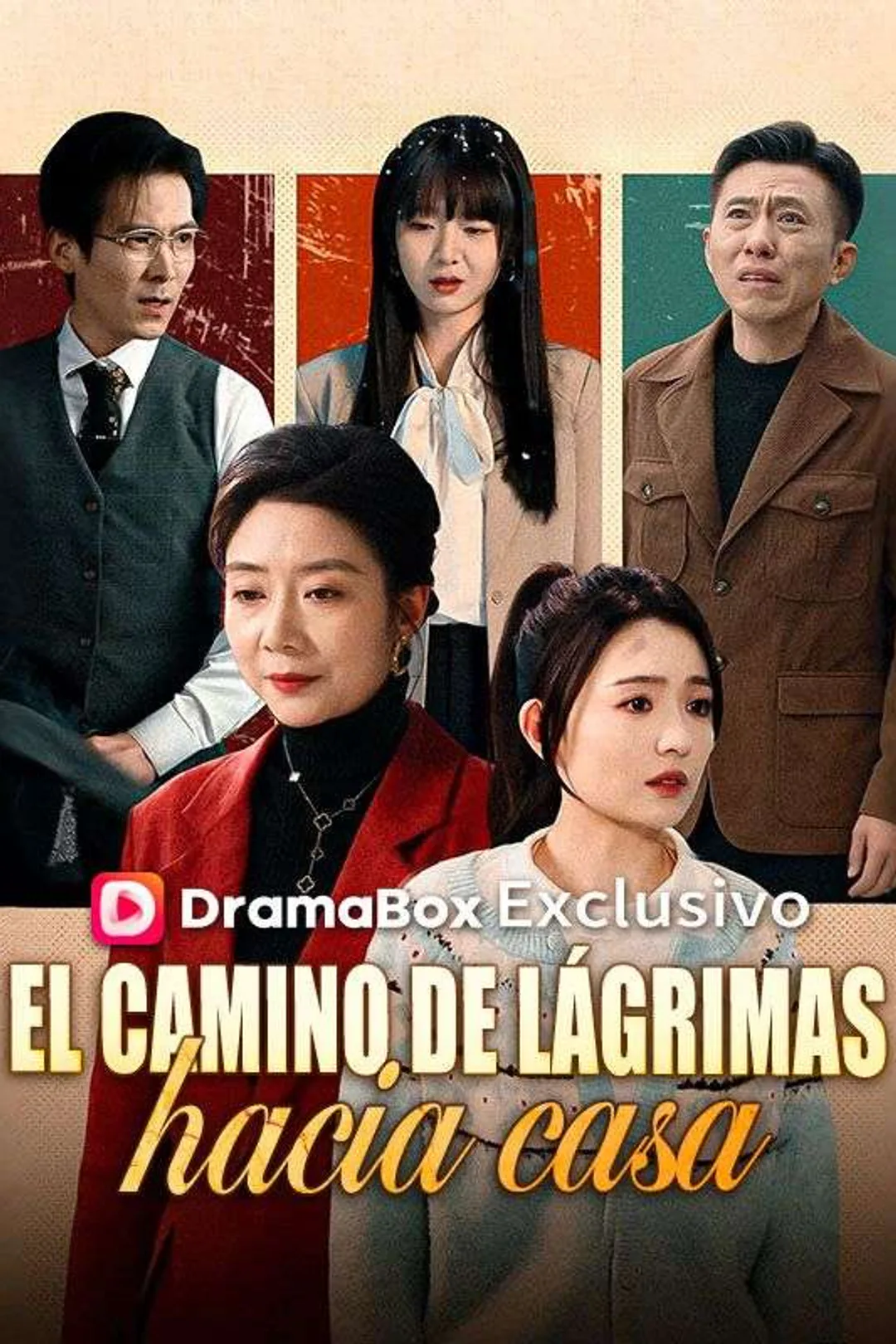 Póster de El camino de lágrimas hacia casa