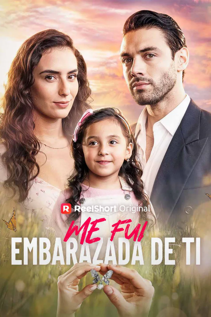 Póster de Me fui embarazada de ti