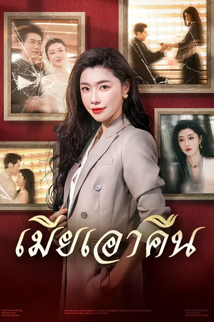 โปสเตอร์ เมียเอาคืน