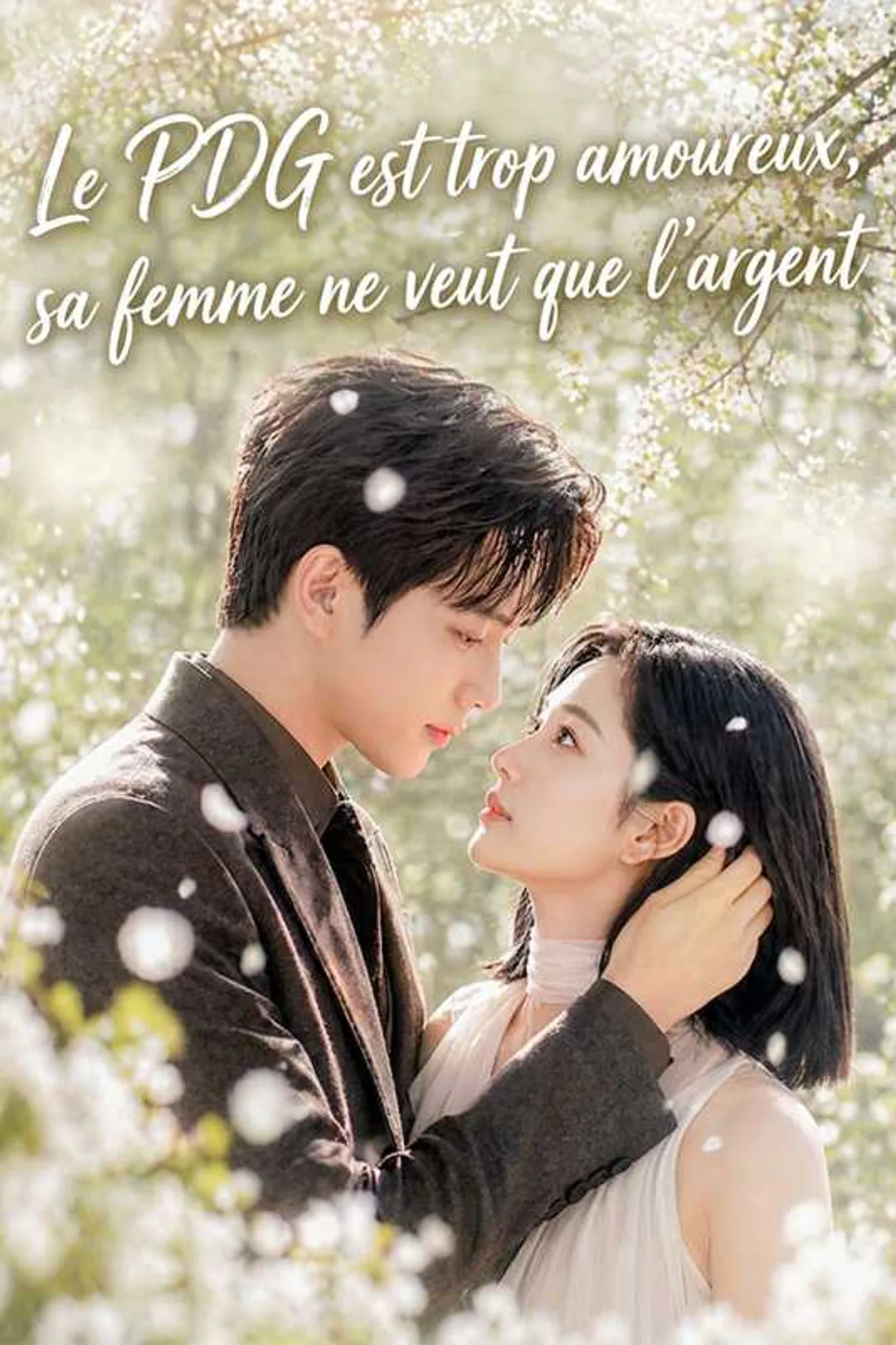 Affiche de Le PDG est trop amoureux, sa femme ne veut que l'argent
