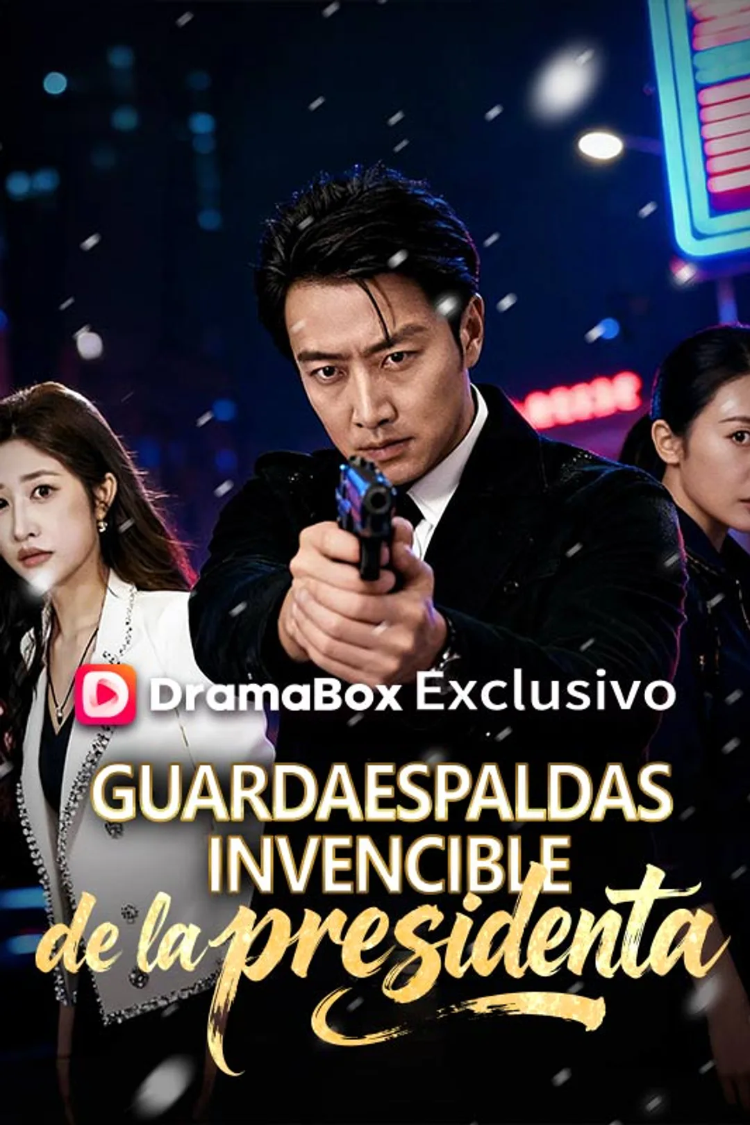Póster de Guardaespaldas invencible de la presidenta