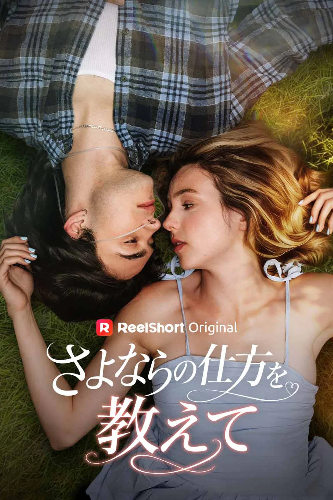 さよならの仕方を教えてのポスター