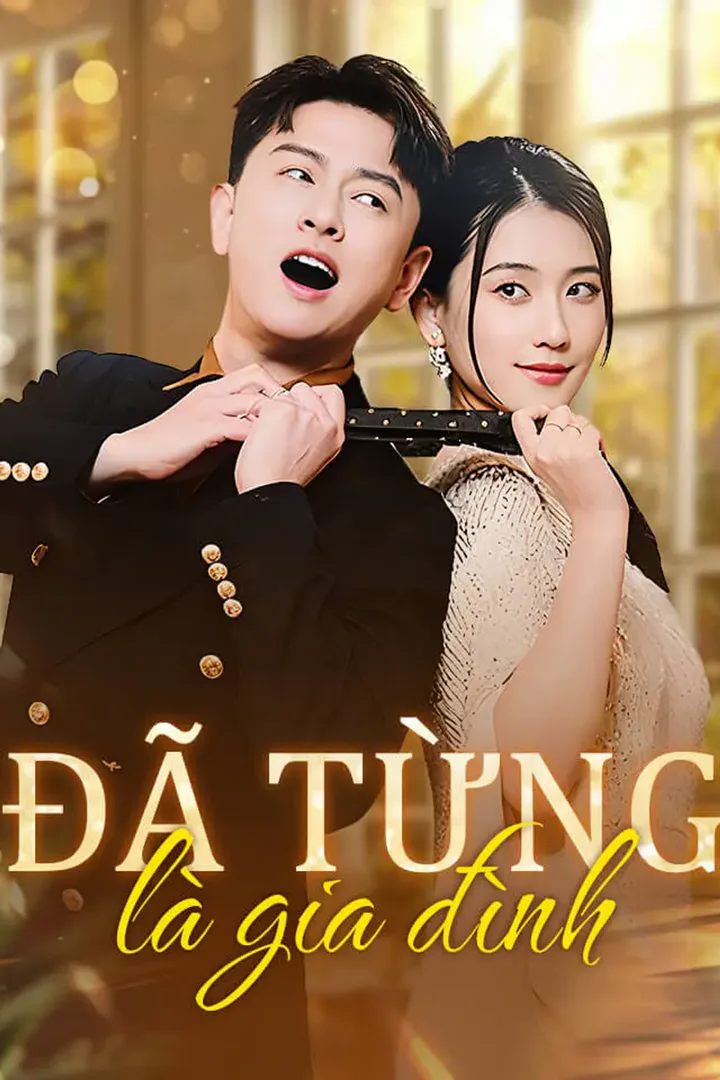 Poster phim Đã từng là gia đình