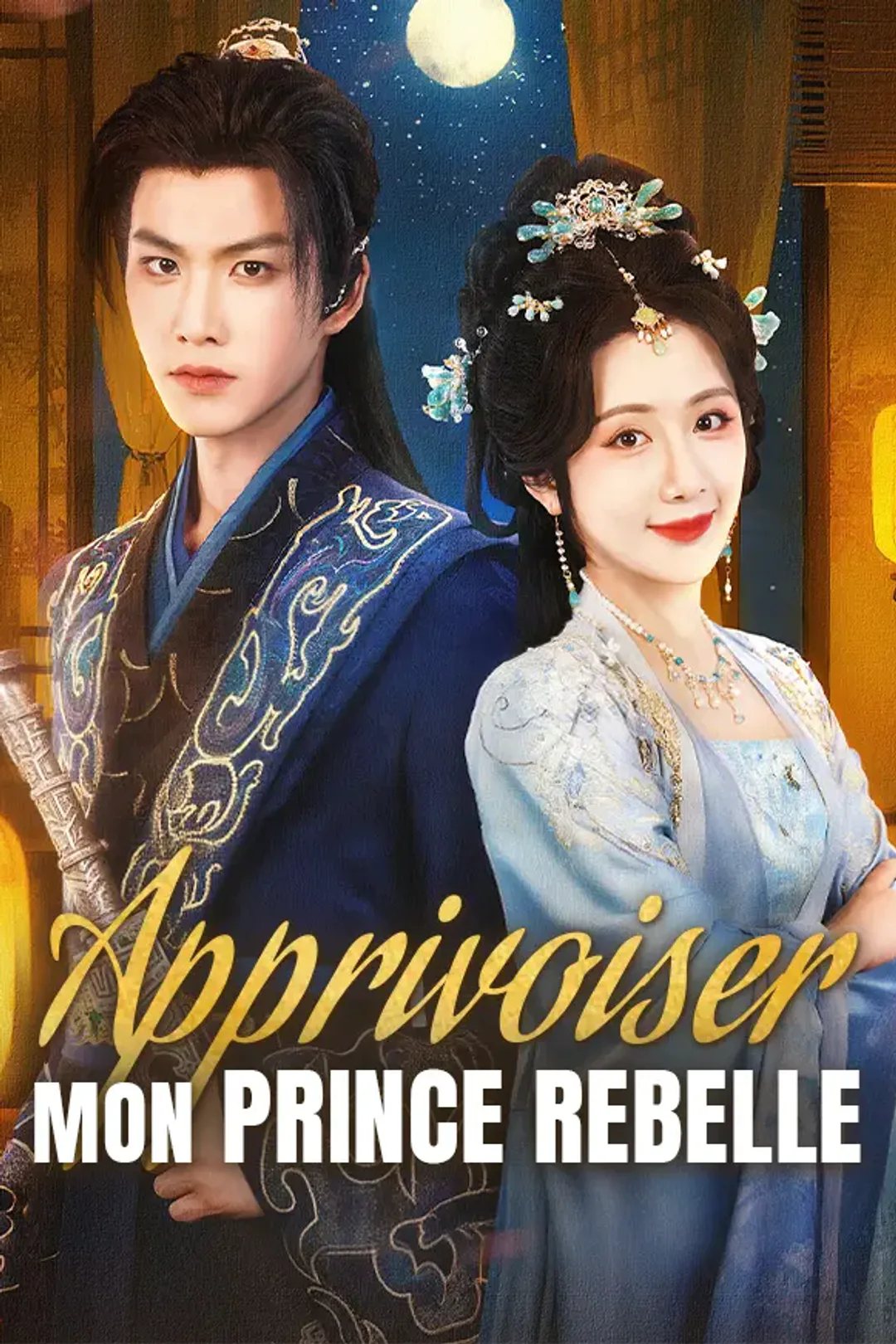 Affiche de Apprivoiser Mon Prince Rebelle