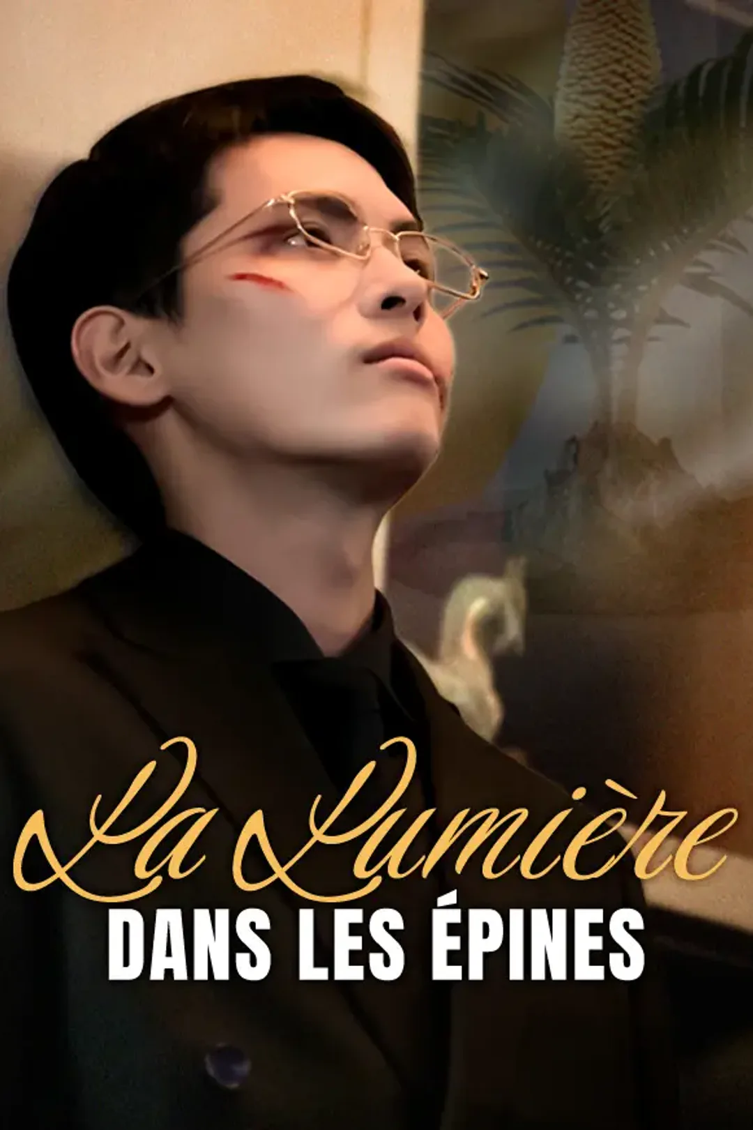 Affiche de La Lumière dans les Épines
