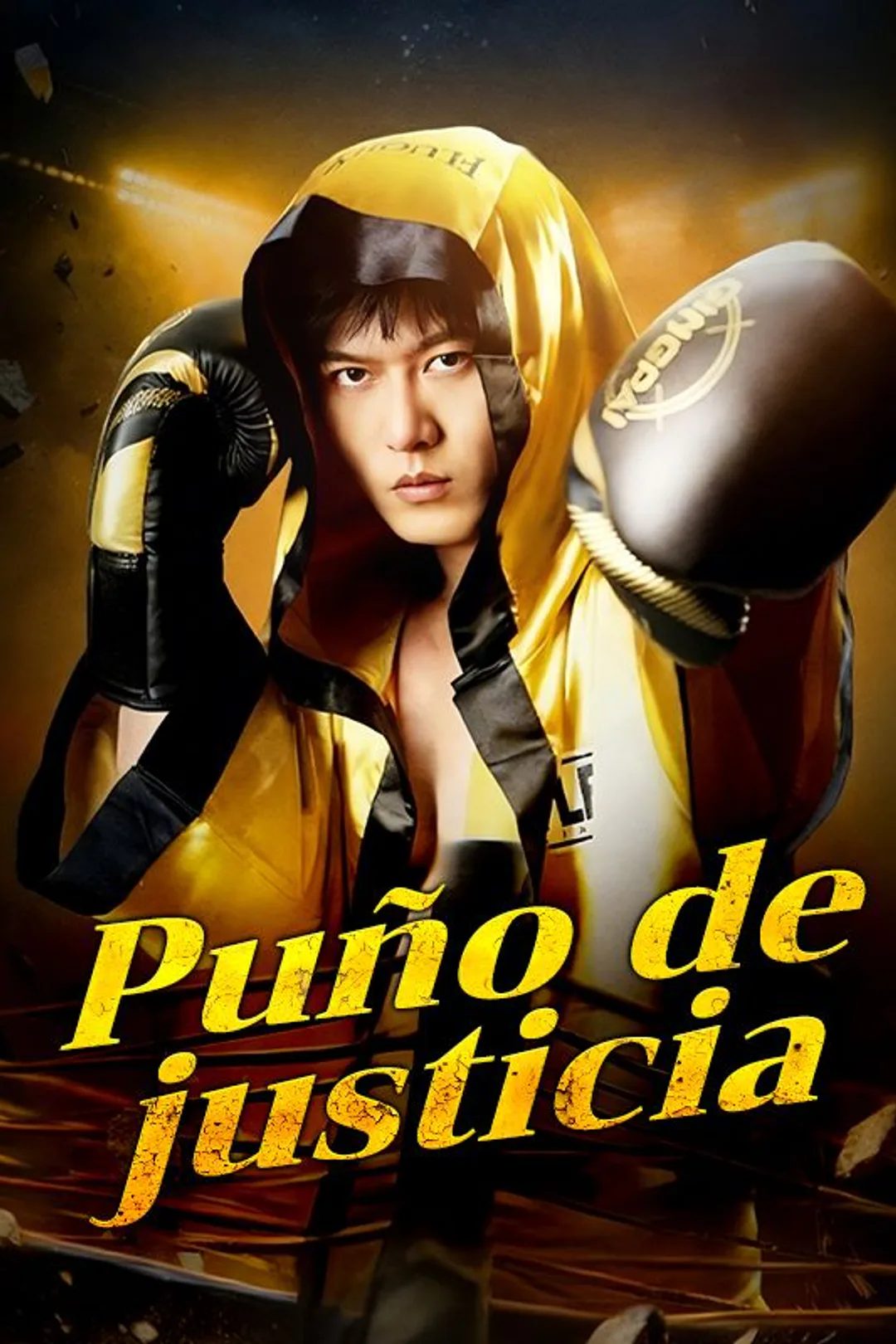 Póster de Puño de justicia