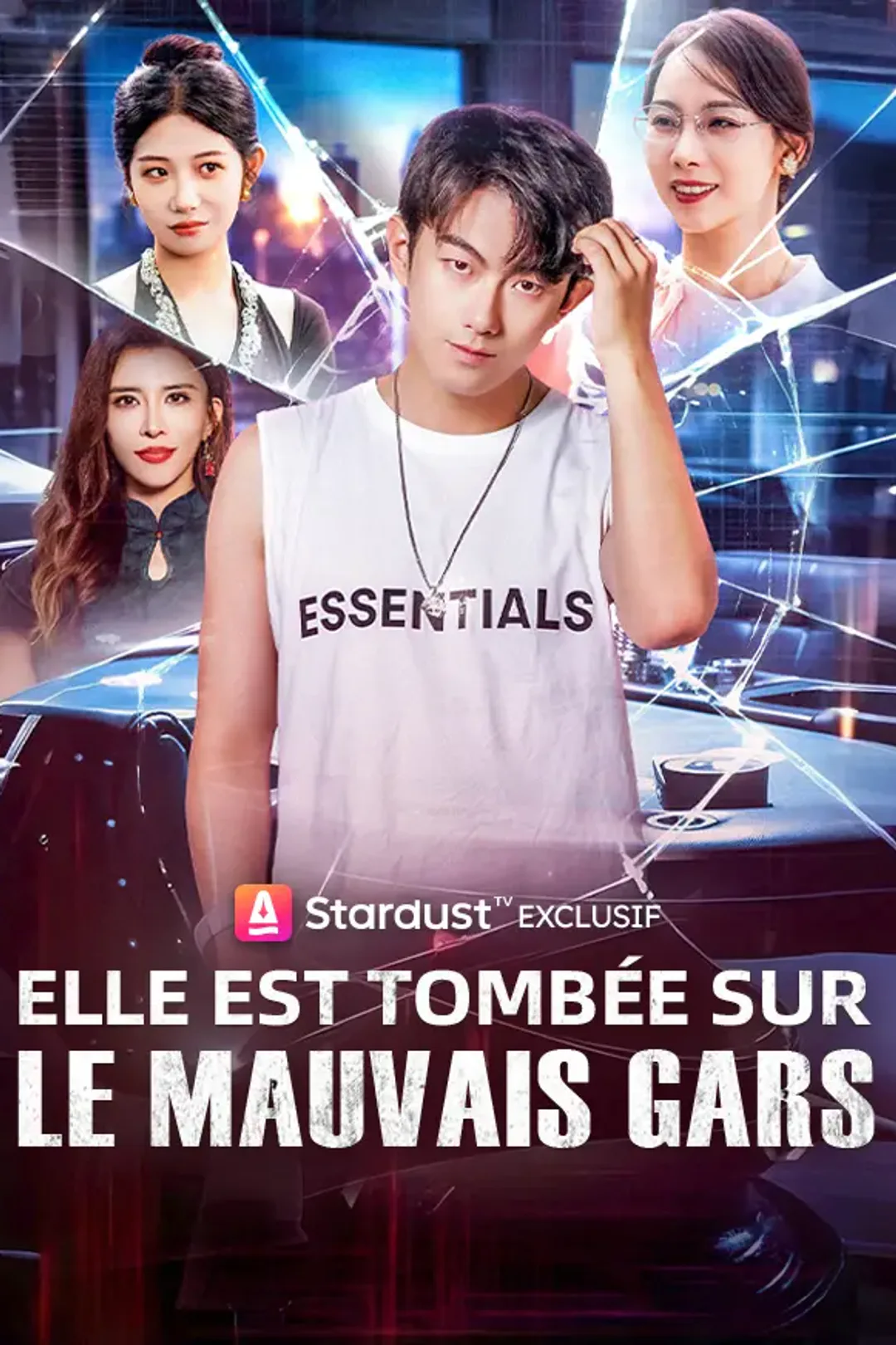 Affiche de Elle est Tombée sur le Mauvais Gars