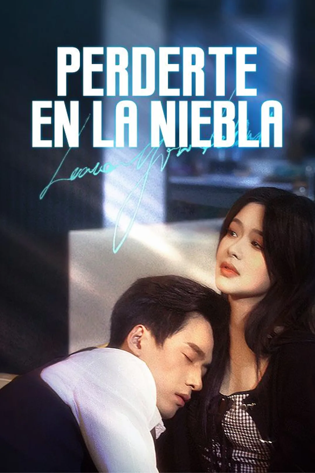 Póster de Perderte en la Niebla