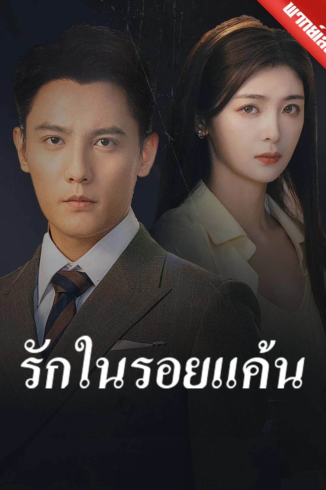 โปสเตอร์ รักในรอยแค้น