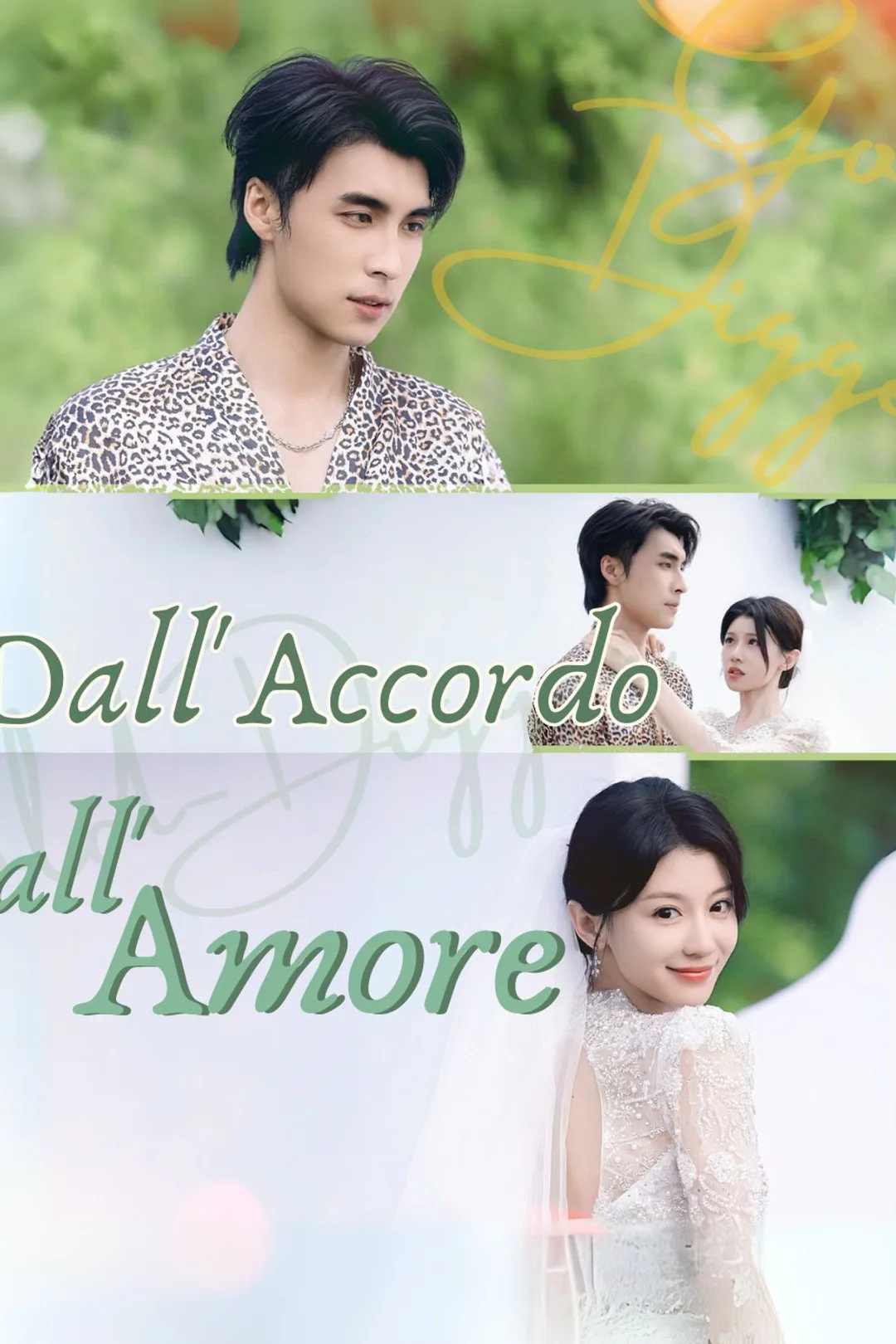 Locandina di Dall'Accordo all'Amore