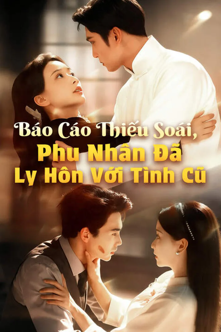 Poster phim Báo Cáo Thiếu Soái, Phu Nhân Đã Ly Hôn Với Tình Cũ