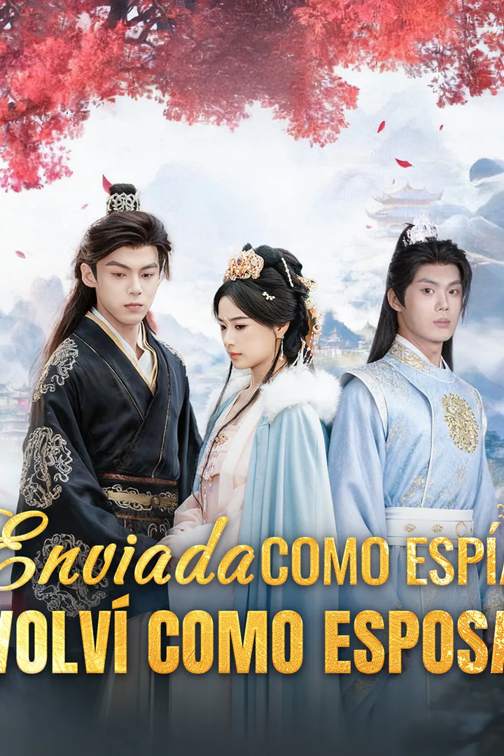 Póster de Enviada como espía, volví como esposa