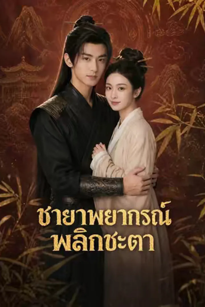 โปสเตอร์ ชายาพยากรณ์พลิกชะตา