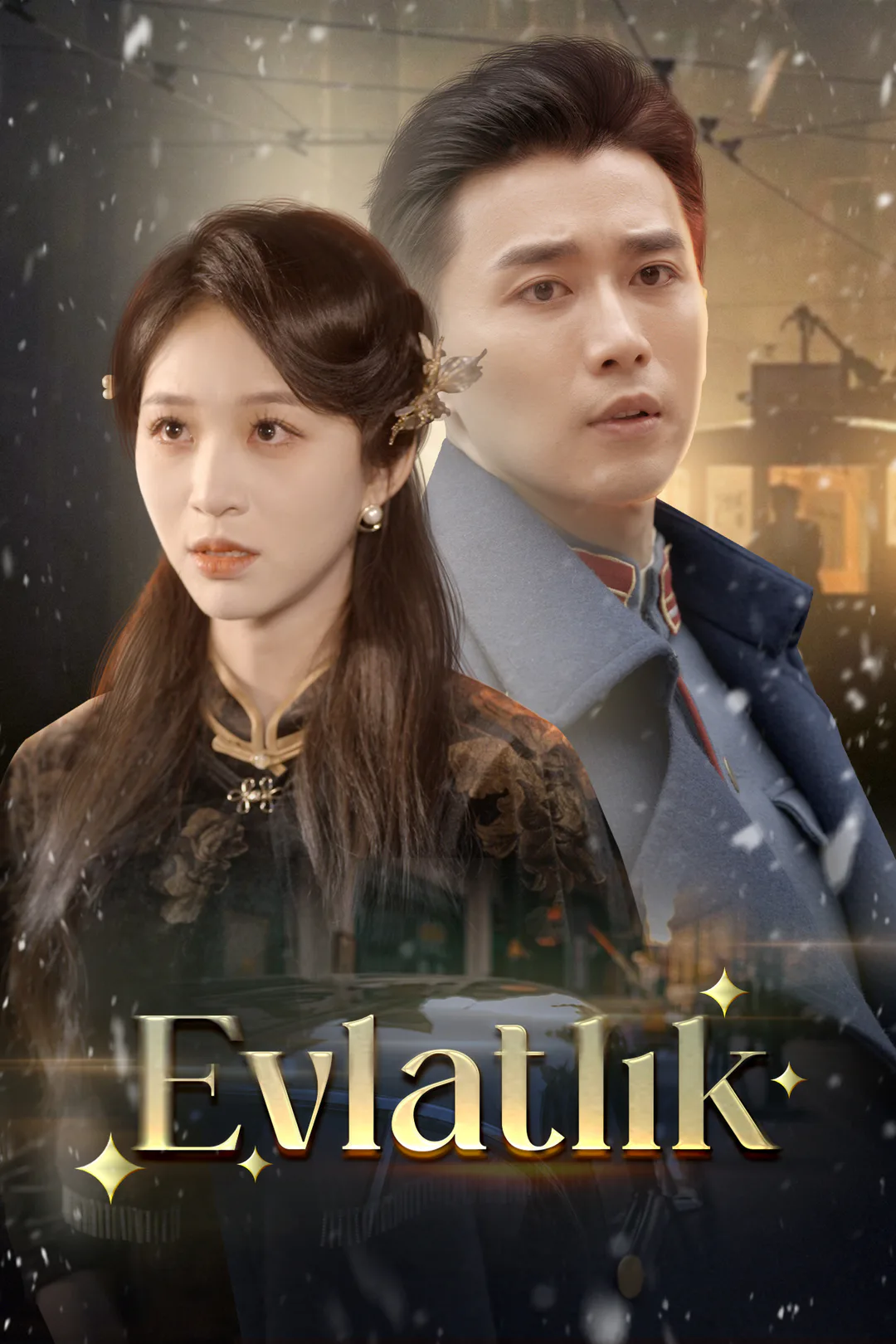 Evlatlık afişi