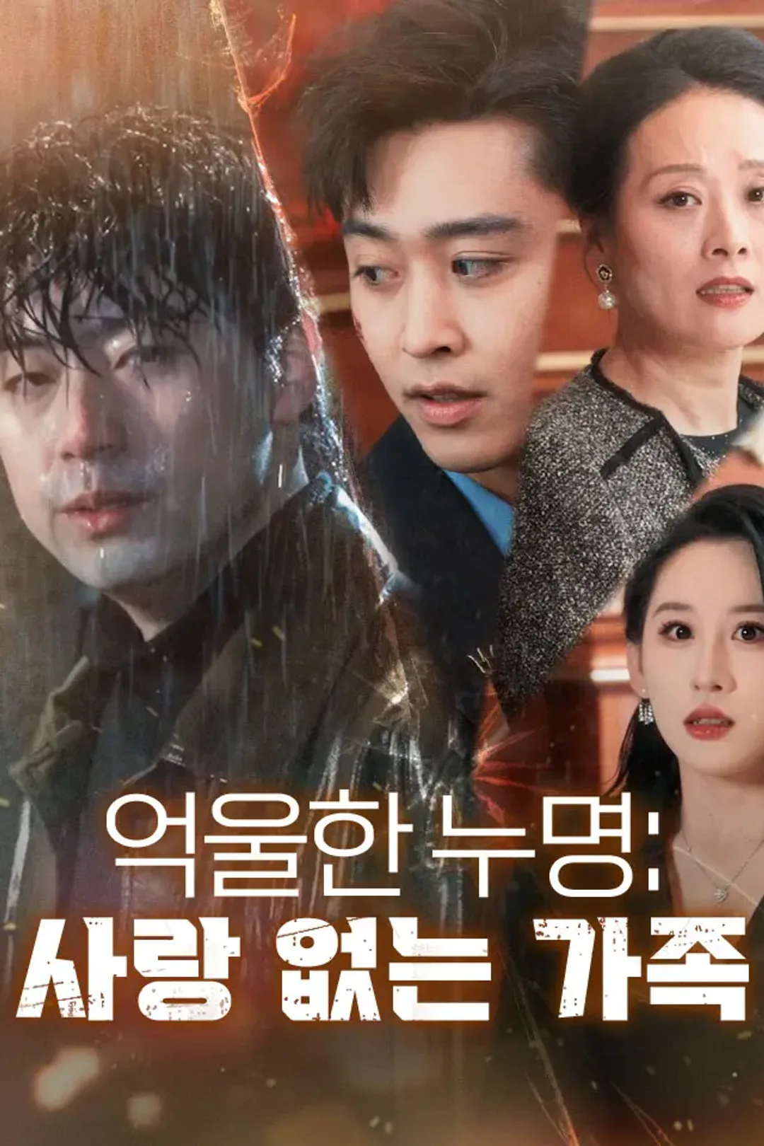 억울한 누명:사랑 없는 가족 포스터