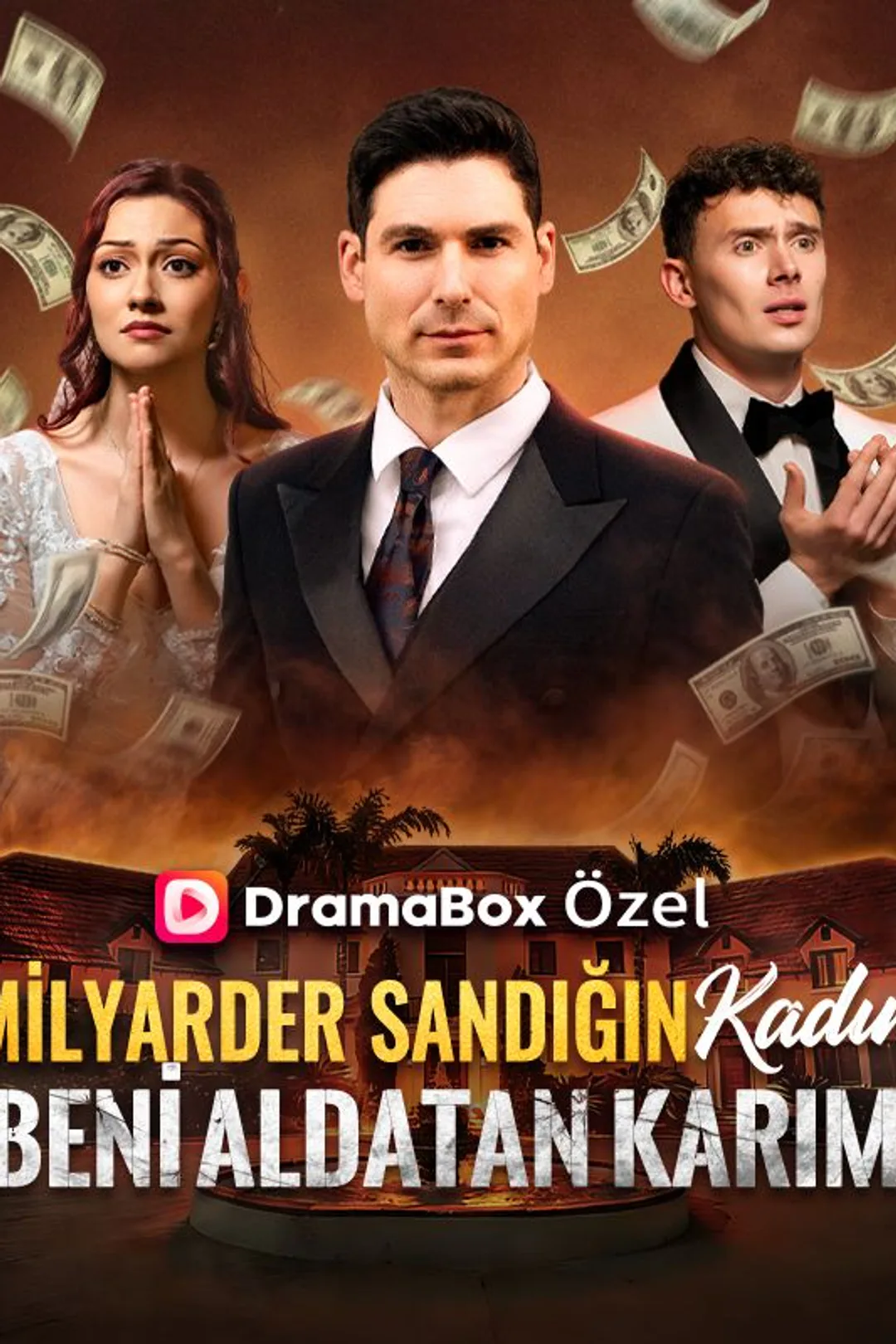 Milyarder Sandığın Kadın, Beni Aldatan Karım afişi