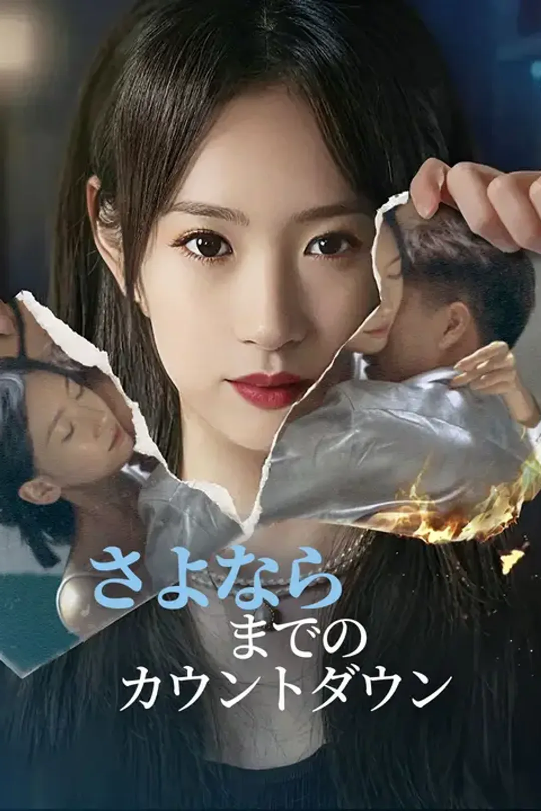 さよならまでのカウントダウンのポスター