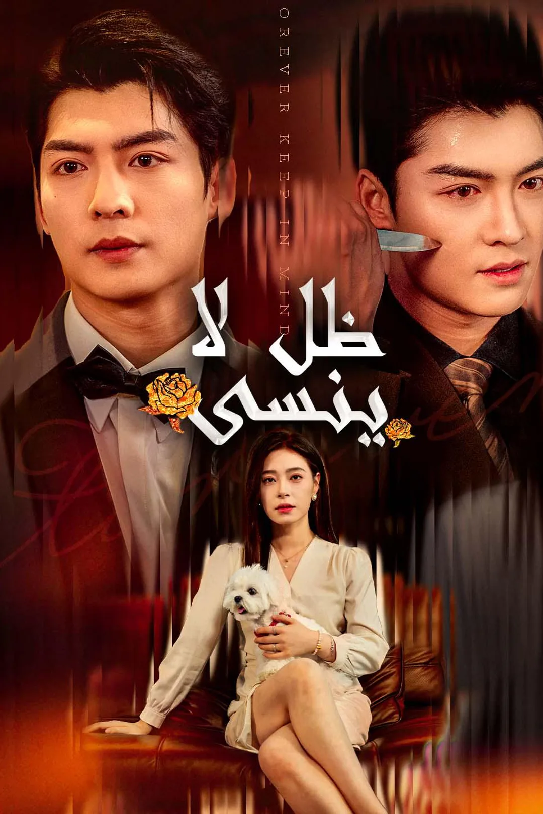 ملصق مسلسل «ظل لا ينسى»
