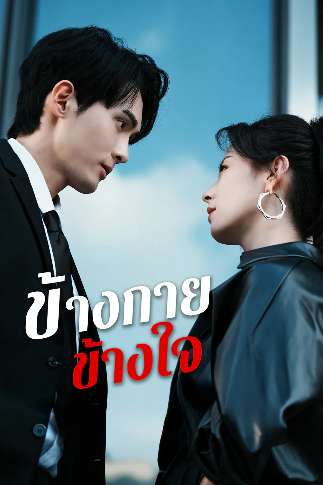 โปสเตอร์ ข้างกายข้างใจ