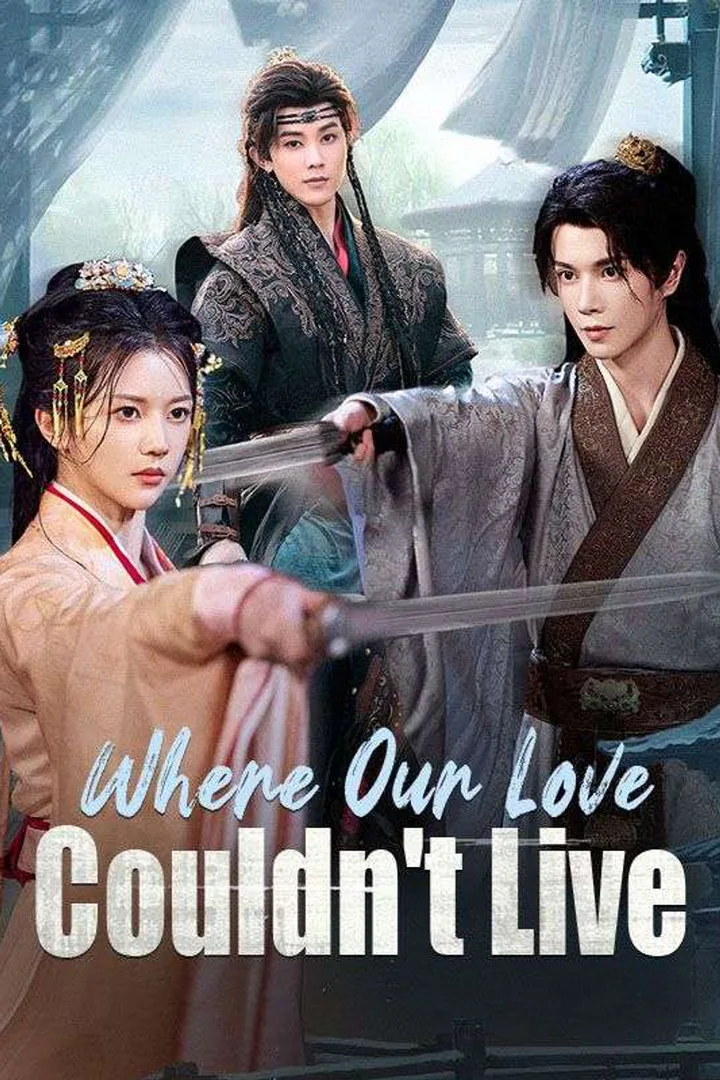 Where Our Love Couldn't Live poster