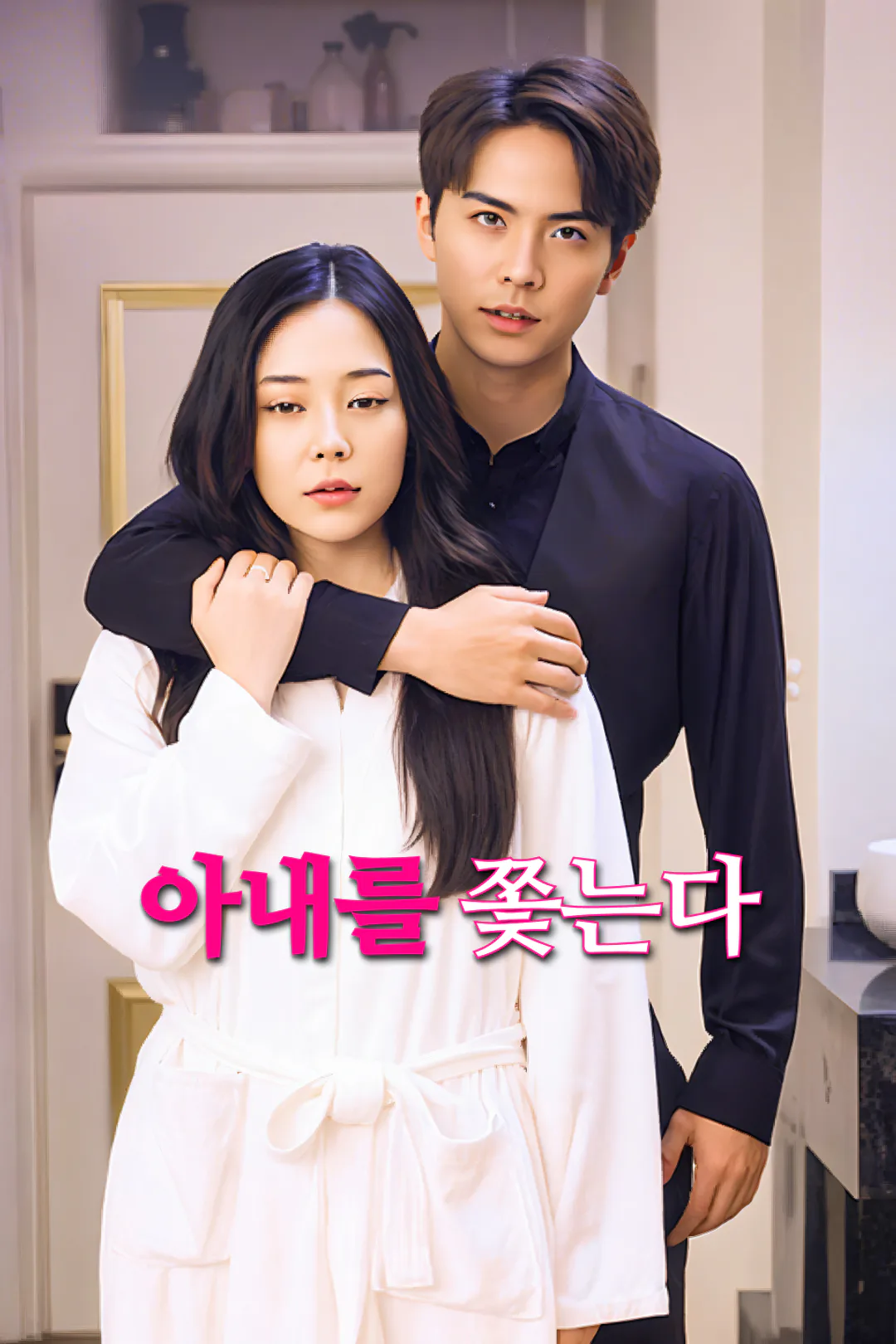 아내를 쫓는다 포스터
