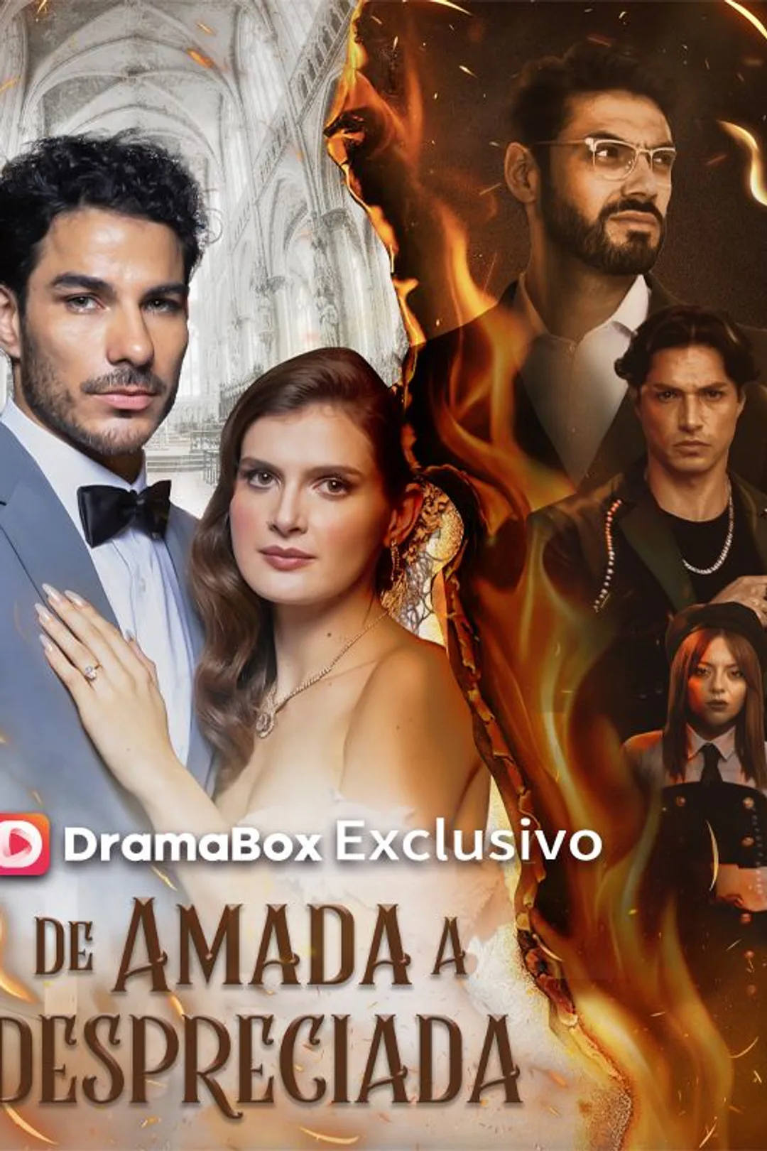 Póster de De Amada a Despreciada